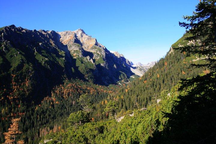 08.jpg - Widok na Dolinę Staroleśną (Velka Studena Dolina) i nasz cel dzisiejszy - Sławkowski szczyt (2452 m).