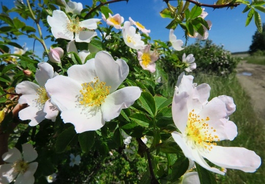 08