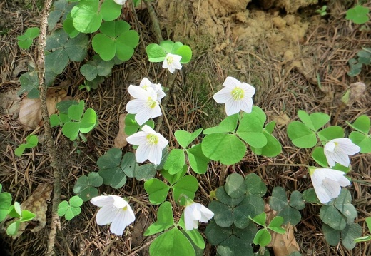 05