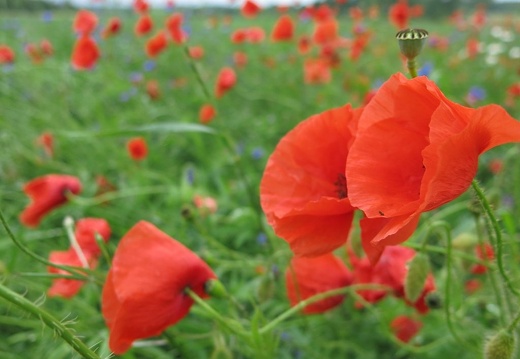05