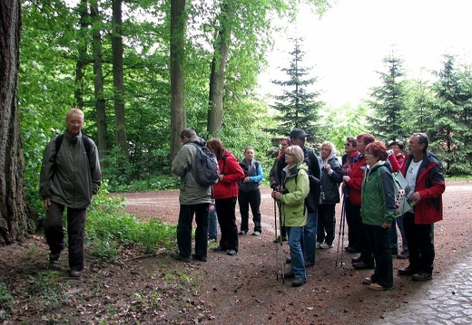 Źródliskowa Buczyna i ogród dendrologiczny w Glinnej (13.05.2012)
