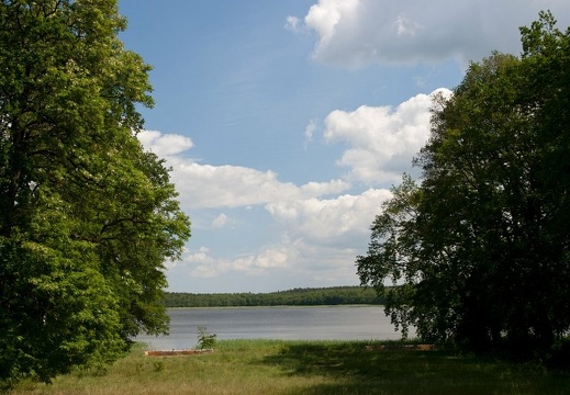 05