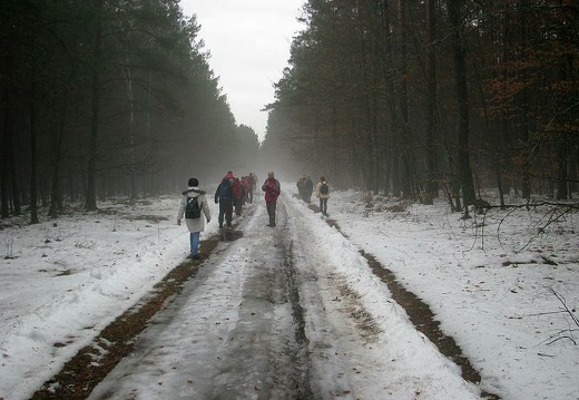 Zima w Puszczy Goleniowskiej (16.01.2011)