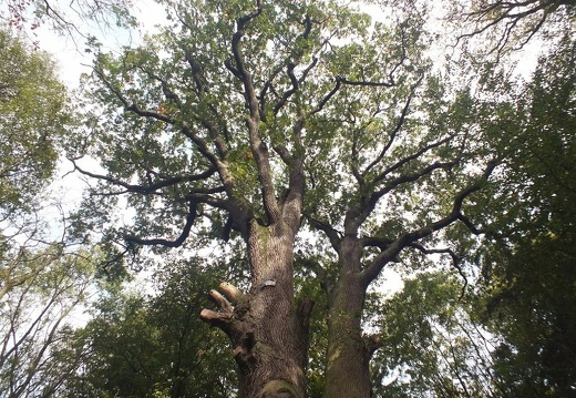 08
