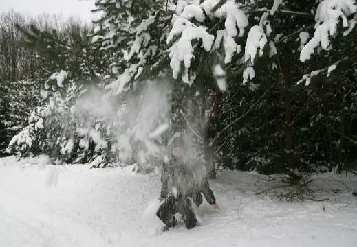 Zima w Puszczy Wkrzańskiej (17.01.2010)