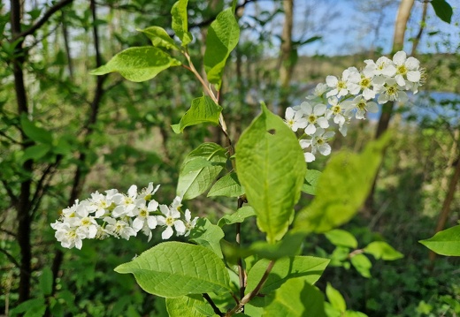 09