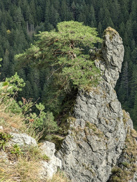 54.jpg