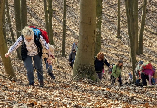 Poszukiwanie Wiosny w Puszczy Bukowej (09.03.2025) - pokazuje zdjęcia w głównym katalogu albumu Poszukiwanie Wiosny w Puszczy Bukowej (09.03.2025)