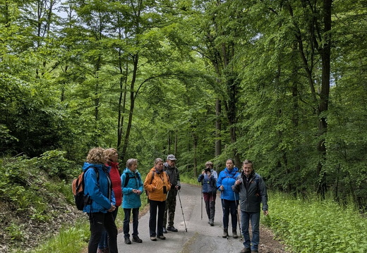 Źródliskowa Buczyna i ogród dendrologiczny w Glinnej (18.05.2025)