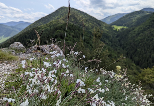 Nasze wyprawy